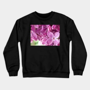 Purple Lilac Crewneck Sweatshirt